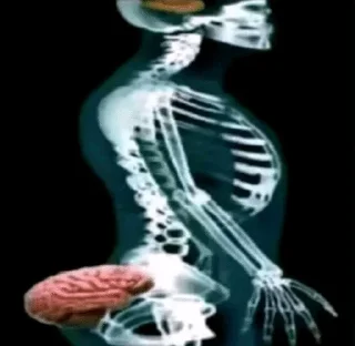 Telegram stiker 🧠 тт коммы @smazmik