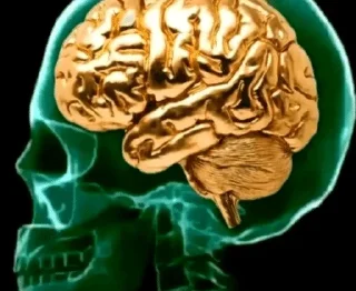 Sticker 🧠 тт коммы @smazmik