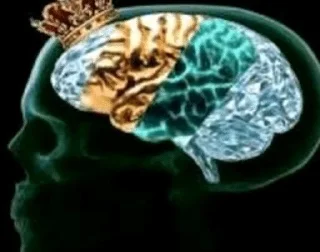 Video sticker 🧠 тт коммы @smazmik