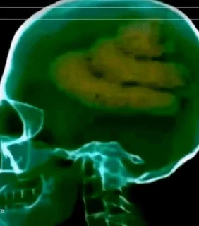 Video sticker 🧠 тт коммы @smazmik