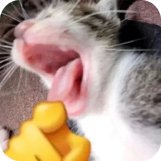 Telegram sticker 🐱 гребаный стикер пак by 778