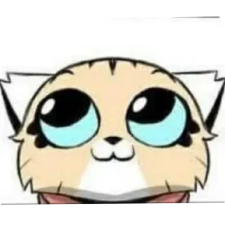 Telegram sticker 👀 Gato amargado
