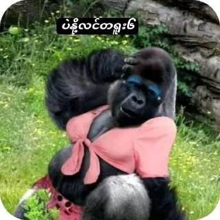 Telegram sticker 🐶 တော၆များမသုံးရ🤬