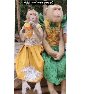 Telegram sticker 🧸 တော၆များမသုံးရ🤬