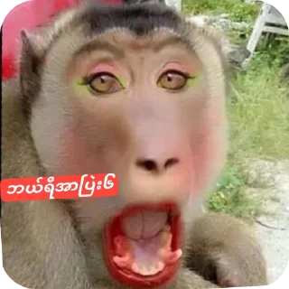 Telegram sticker 🤲 တော၆များမသုံးရ🤬