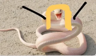 Telegram sticker 🐍 هــاجــر ²