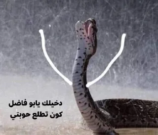 Telegram sticker 🐍 هــاجــر ²