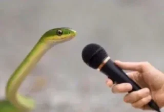Video sticker 🐍 هــاجــر ²