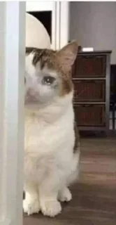 Telegram sticker 😭 هــاجــر ²