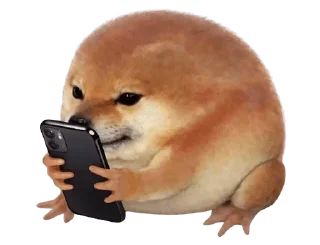 Video sticker 🌟 What the dog doing? :: @fStikBot