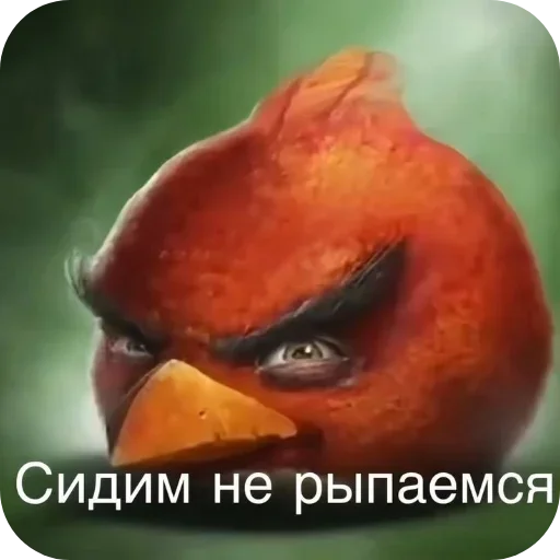 Telegram sticker 👄 @ewenotes