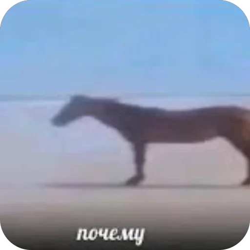 Telegram sticker 🫥 @ewenotes