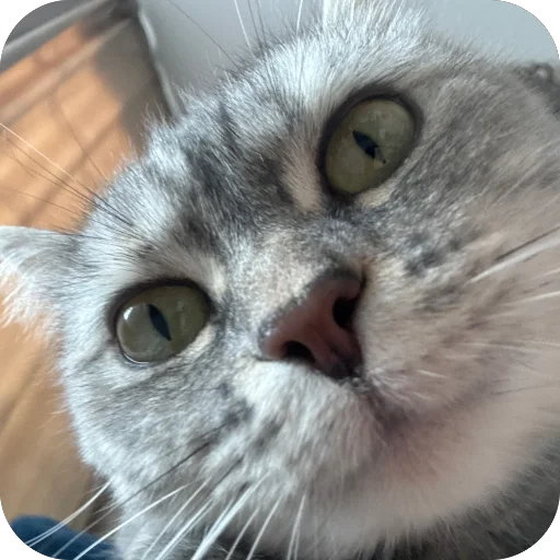 Sticker 🫥 @ewenotes