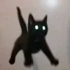 Sticker 🐱 коты @TgEmodziBot