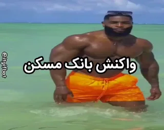 Video sticker 🤩 حامدعلی 3 @TgEmojis_bot