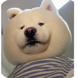 Telegram sticker 🫥 Kdusticon