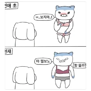 Video sticker 🫥 Kdusticon