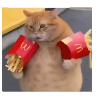 Telegram sticker 🫥 Kdusticon