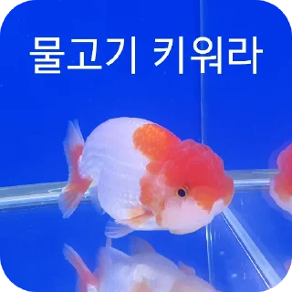 Telegram sticker 🍲 Rezet티콘