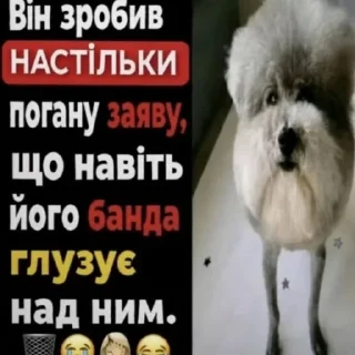 Video sticker ⭐️ ⸝⸝ ꒰ 𝑴𝒆𝒎𝒆𝒔 𓏵 ⋮ @StickersUa1 𖦹