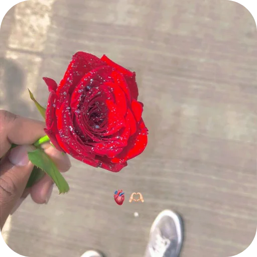 Telegram stiker 🌸 Random by @DarkDetox 😂