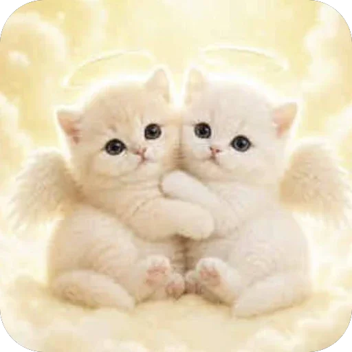 Telegram sticker 🫥 сап котность :: @fStikBot