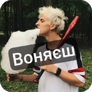Video sticker 👕 сап котность :: @fStikBot