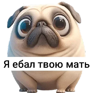 Video sticker 😳 P4RNO ➡️ @Ctikerubot