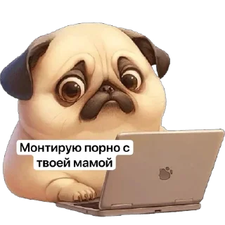 Telegram sticker 💻 P4RNO ➡️ @Ctikerubot