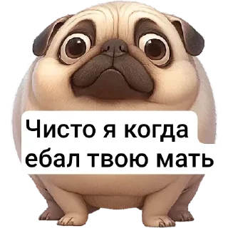 Video sticker 😳 P4RNO ➡️ @Ctikerubot