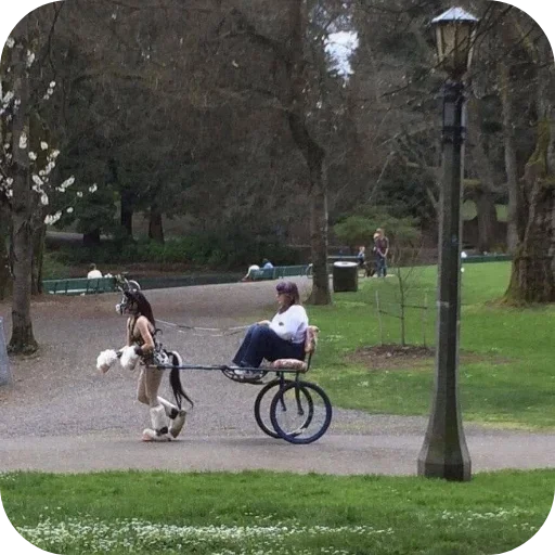 Telegram sticker 🚲 Walkith