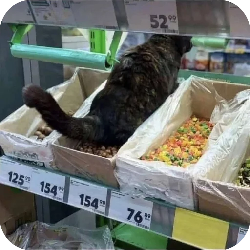 Telegram sticker 🍲 Walkith