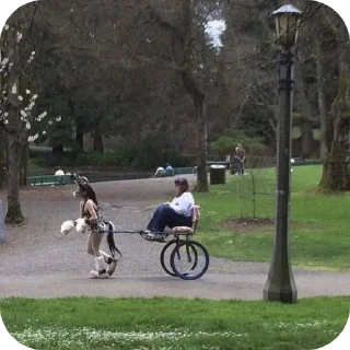 Video sticker 🚲 Walkith