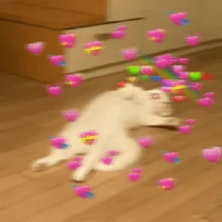 Телеграм стикер 🤤 Hearts🥰