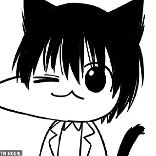 Video sticker 🌟 𝘾𝙖𝙩𝙜𝙪𝙢𝙤 /⁠ᐠ⁠｡⁠ꞈ⁠｡⁠ᐟ⁠\ @TwinCur :: @fStikBot