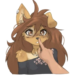 Video sticker 😯 Apogee