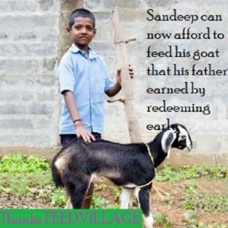 Telegram sticker 🐑 FeeDVillage