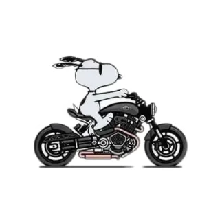 Video sticker 😎 É SNOOPY, NÃO CHARLIE BROWN!