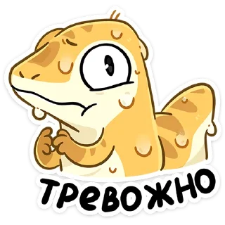 Video sticker 😨 Гоша • @TgSticker