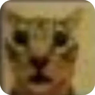 Telegram sticker 🤲 Лимбусятники