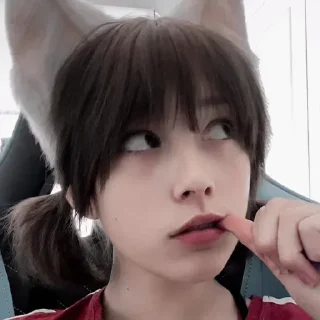Video sticker 🐾 I like this :: @fStikBot