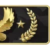 Sticker 🫡 CSGO RANKS @PCDCK