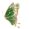 Sticker 🦋 برامــج مركز آيــات