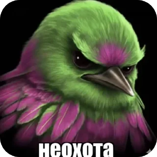 Video sticker 👍 котакбас