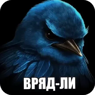 Video sticker 🖼 котакбас