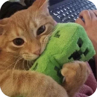 Telegram sticker 🐱 Больше стиков тут: @stikery4