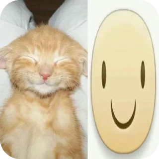 Telegram sticker 🐱 Больше стиков тут: @stikery4