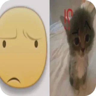 Video sticker 🐱 Больше стиков тут: @stikery4