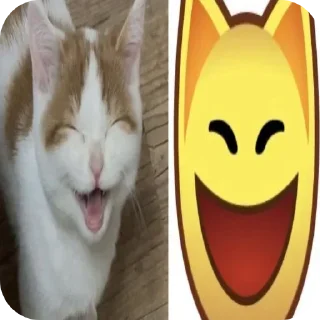 Telegram sticker 🐱 Больше стиков тут: @stikery4