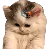 Sticker 🐱 #кнопкапоказатьмеми